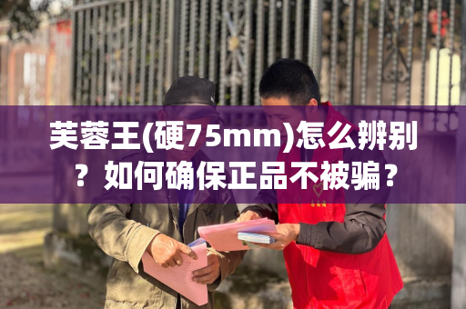 芙蓉王(硬75mm)怎么辨别？如何确保正品不被骗？